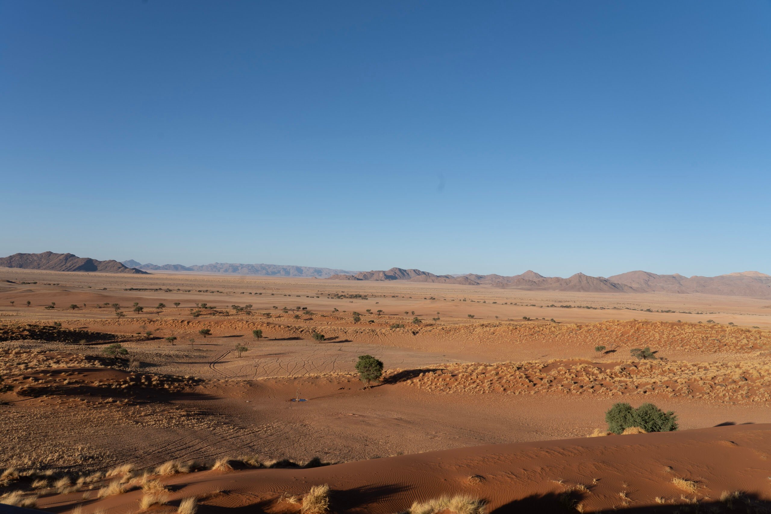 DSC01075-scaled.jpg