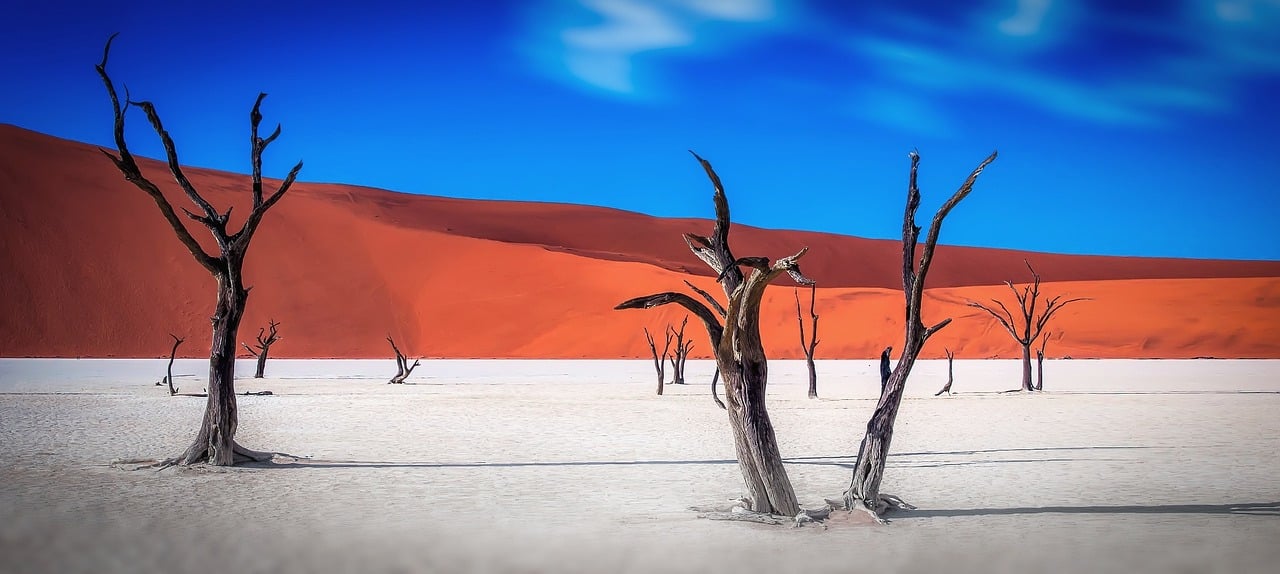 namibia-2019391_1280.jpg