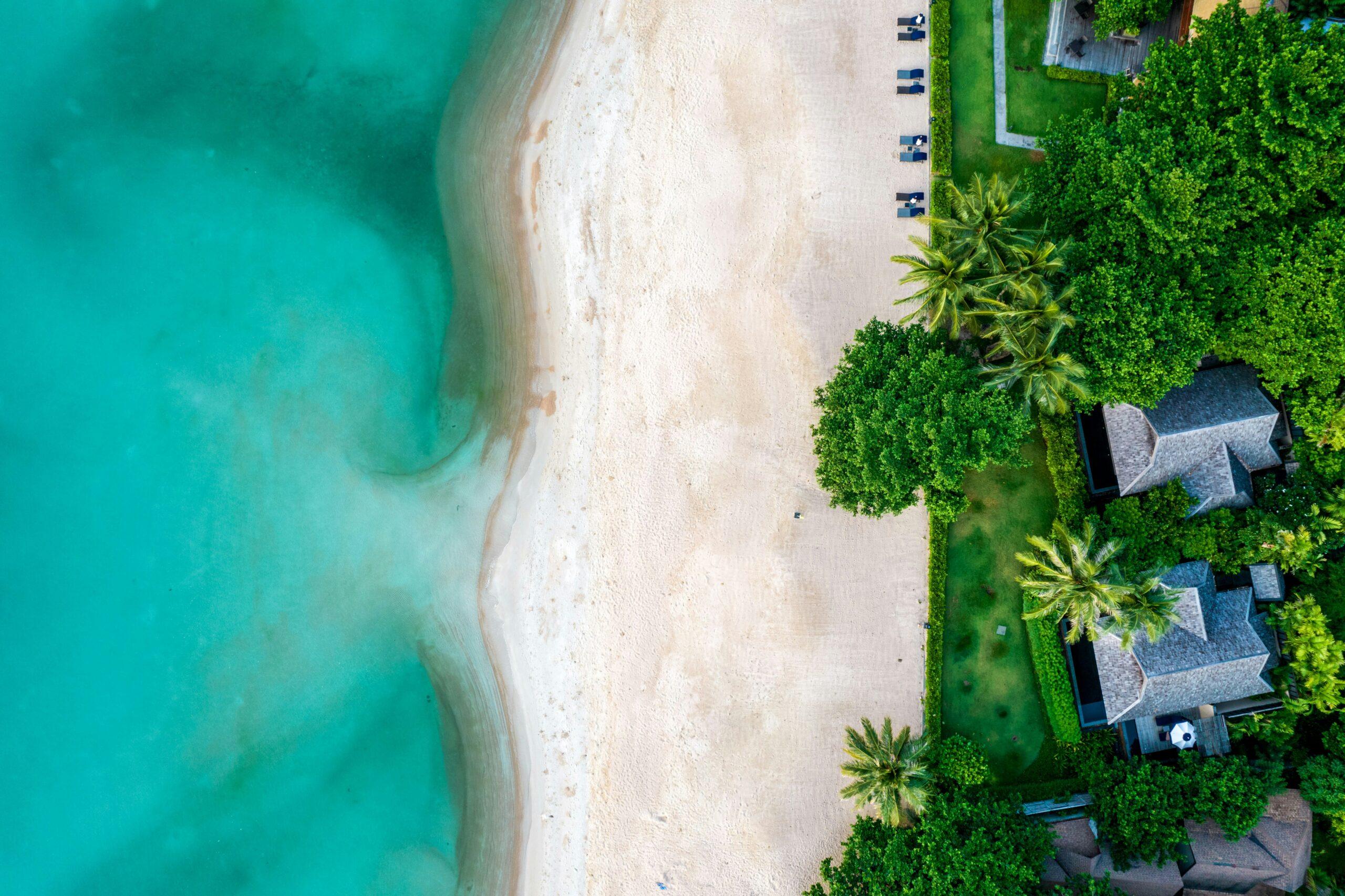 antonio-araujo-5OLT28gQXwM-unsplash