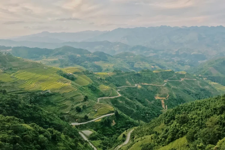 pham-olivia-QUGLXJD0qpo-unsplash